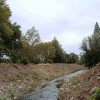 Почистен е участък на река Асеновска на изхода за село Бяла в Сливен