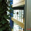 European Parliament