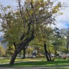 Сливен, кратки вечерни новини, 22.10.2025 г., сряда
