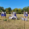 Община Нова Загора с успешна кампания за кастрация на животни и празник „Любов на четири лапи“