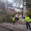  Вятърът в Сливен е на пориви, до 90 километра в час   
