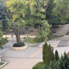 Паднал клон на дърво е ударил човек, който е откаран с линейка в Сливен 