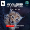 кампания - 2023 