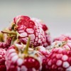 Какво представляват кетоните