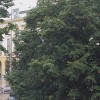 Сливен