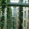 European Parliament