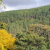 Сливен, кратки вечерни новини, 21.10.2025 г., вторник