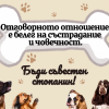 Отговорните стопани защитават своите любимци – регистрацията и чипирането на кучета са задължителни