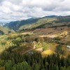 Ето как мъховете пазят крехката природа в Родопите