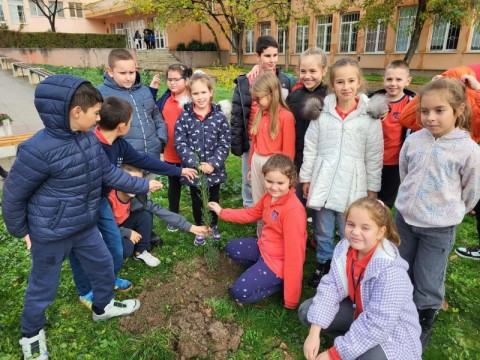 Инициатива