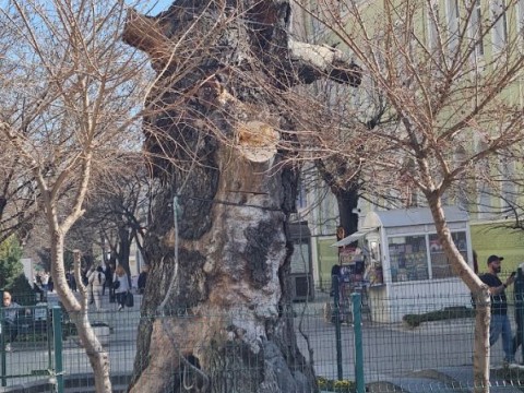 .....................................