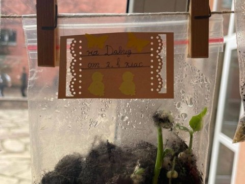 Инициатива