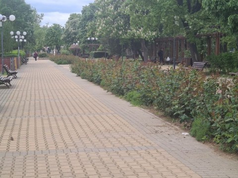 Сливен