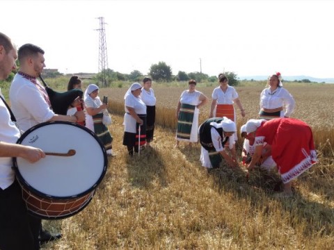 Ритуал по зажънване пресъздадоха в село Стоил войвода