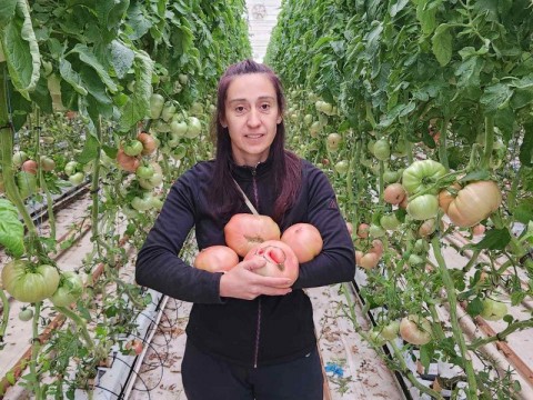 Български домат - звезда в Мадрид
