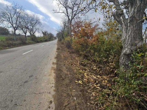 почистване на път