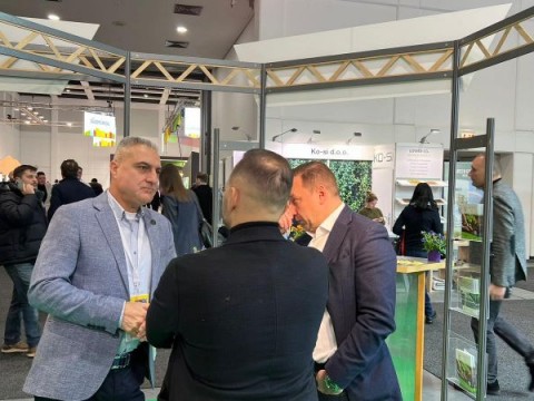 България се позиционира като надежден доставчик на зеленчуци на европейския пазар