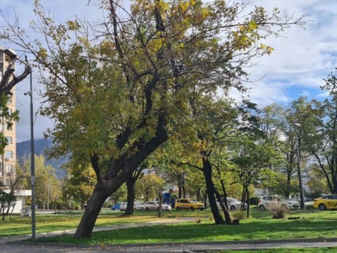 Сливен