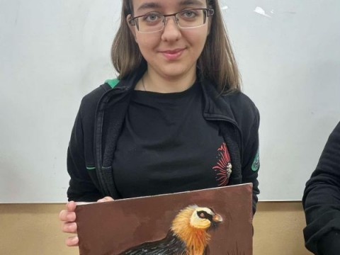 Снимка 16