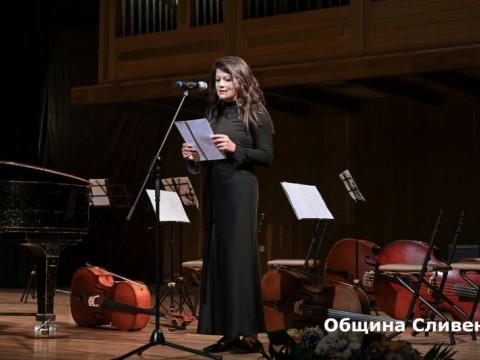 творческа академия
