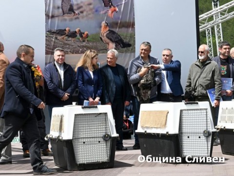 Сливен беше домакин на историческо природозащитно събития - завръщане на брадатия лешояд в България 