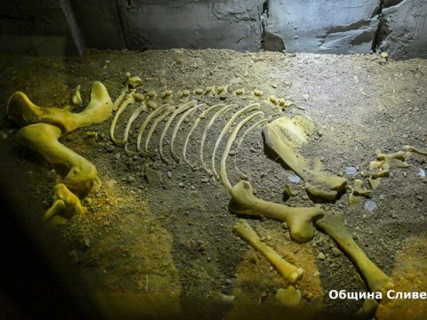 изложба - гробница