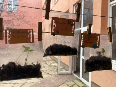 Инициатива