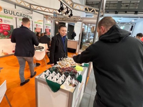 Кой български плод спечели сърцата на професионалистите на FRUIT LOGISTICA 2026 в Берлин
