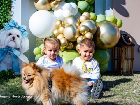 „Любов на 4 лапи“ събра любители на животните в Нова Загора