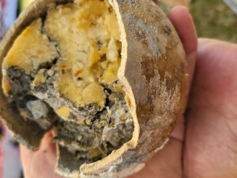 От инженерната физика до крутмача и сиренето в стомна: историята на Добрина и Кирил от с. Крепост