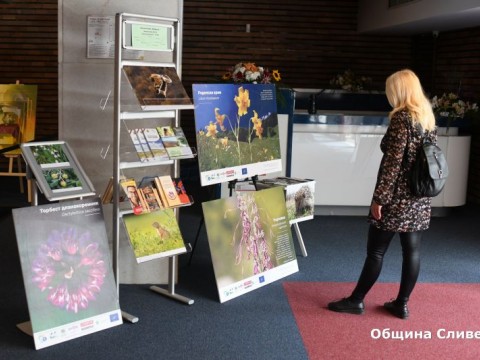 Уникални снимки на растения и животни са включени в изложба за биоразнообразието в зала „Сливен“