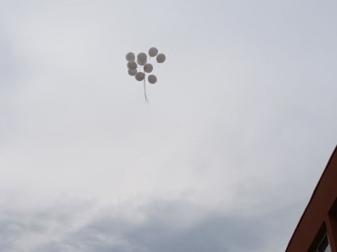 Снимка 5