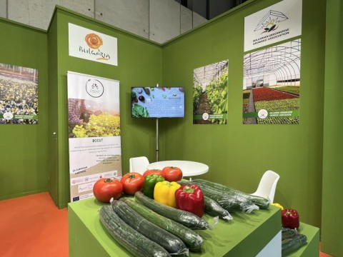 Първокласни пресни зеленчуци от слънчева България на цветен щанд в Мадрид