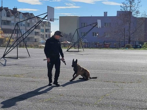 Демонстрация