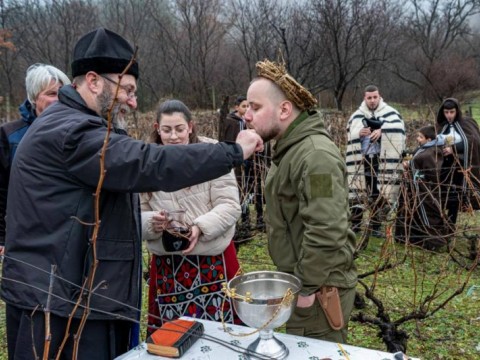 Община Твърдица отбеляза Трифон Зарезан с ритуално зарязване на лозе