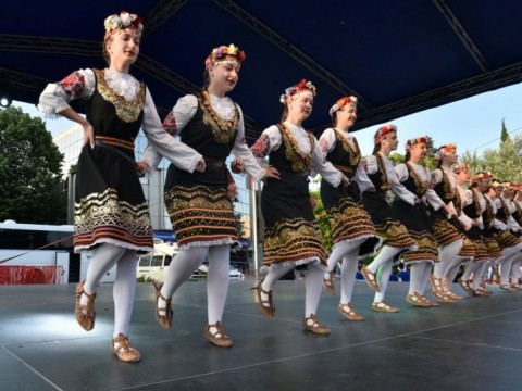 Festival
