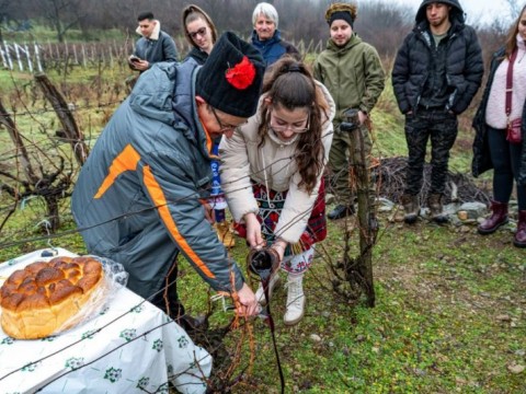 Община Твърдица отбеляза Трифон Зарезан с ритуално зарязване на лозе