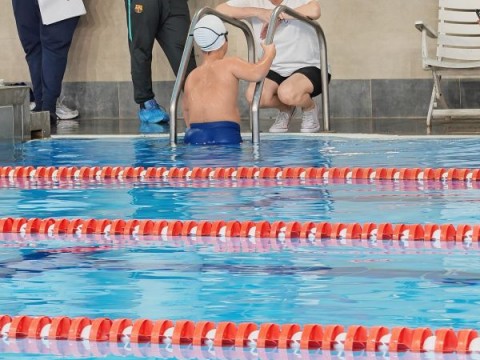 Смелите делфини