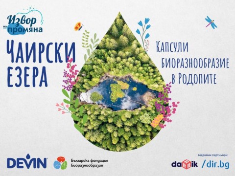 Ето как мъховете пазят крехката природа в Родопите