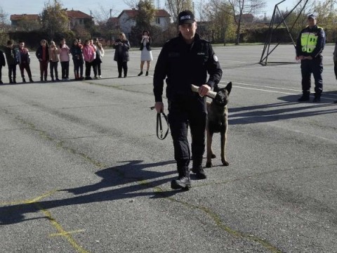 Демонстрация