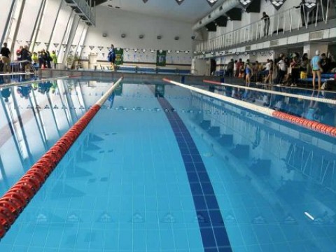 Смелите делфини