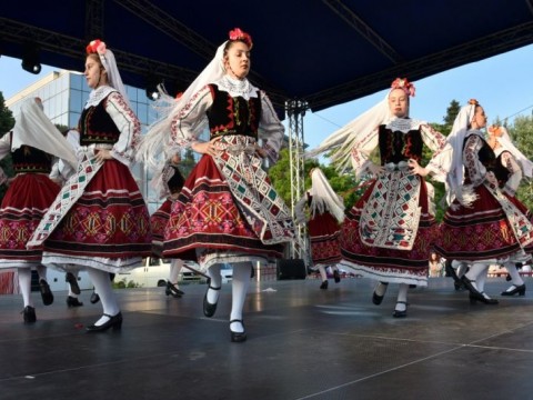 Festival