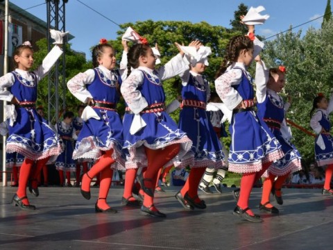 Festival