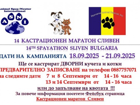 Стартира 14-та кампания за безплатни кастрации на дворни кучета и котки