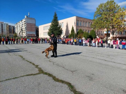 Демонстрация