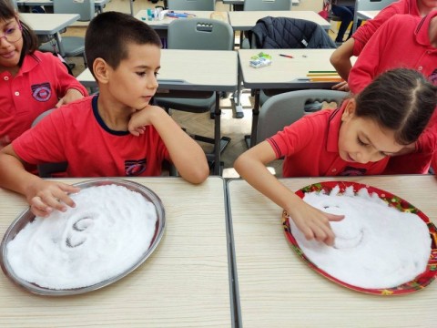 Занимания по интереси