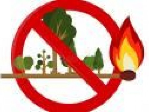 Горски пожари – предпазване и мерки при пожар