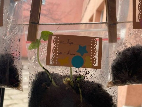 Инициатива