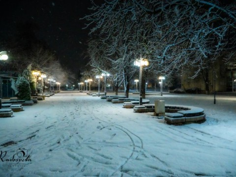 Спокойна зимна обстановка в община Нова Загора след снеговалежа