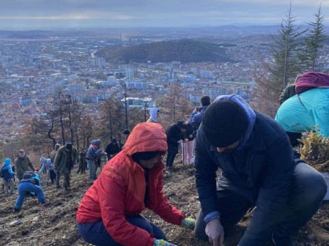 ОУ „ПАНАЙОТ ХИТОВ“ СЕ ВКЛЮЧИ АКТИВНО В ЗАЛЕСЯВАНЕТО НА МЕСТНОСТ „БАРМУК БАИР“